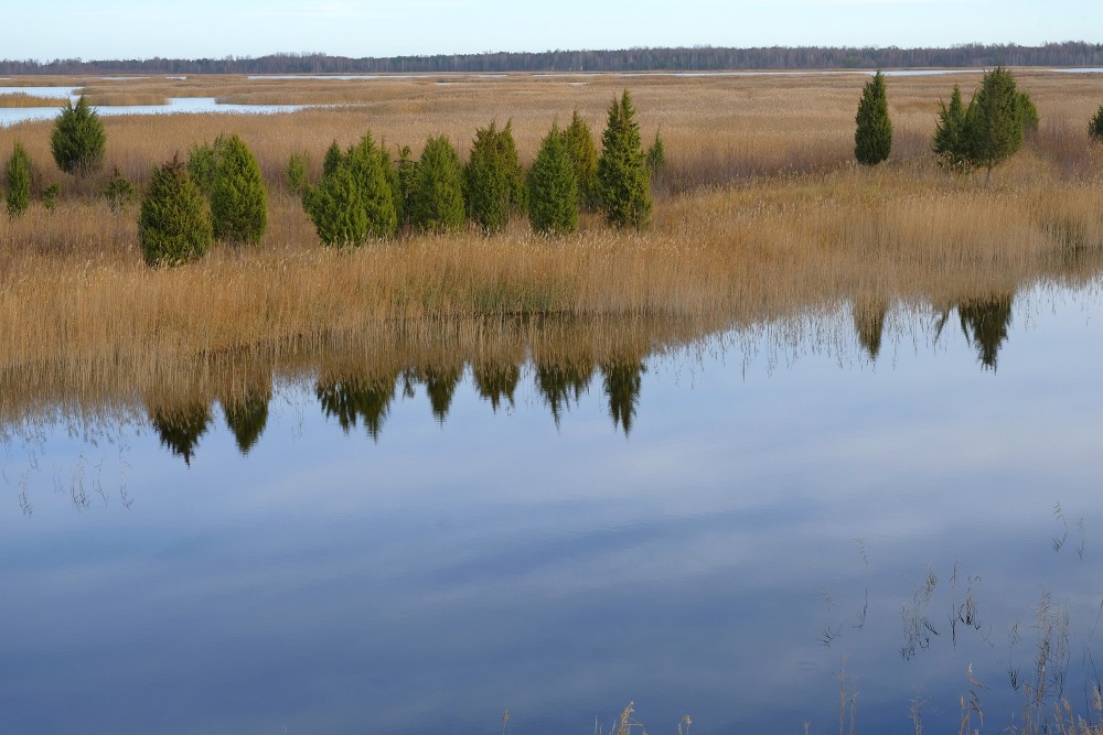 Skats uz Kaņieri no putnu vērošanas torņa
