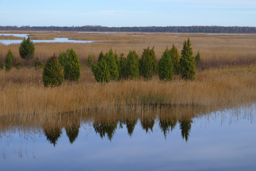Skats uz Kaņieri no putnu vērošanas torņa