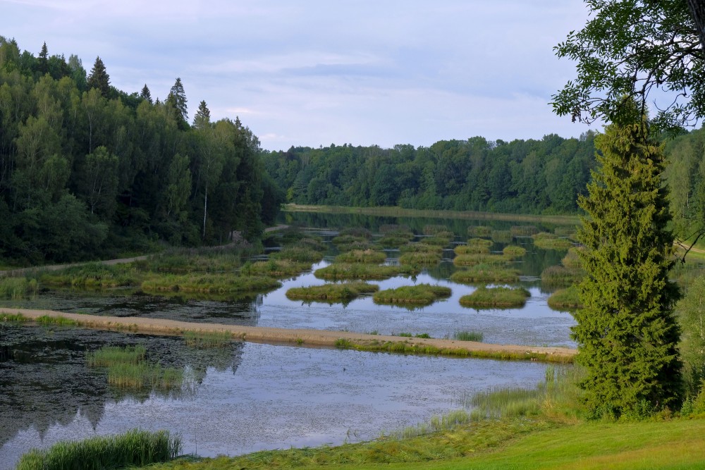 Alley Pond (Alejas dīķis) with Islets