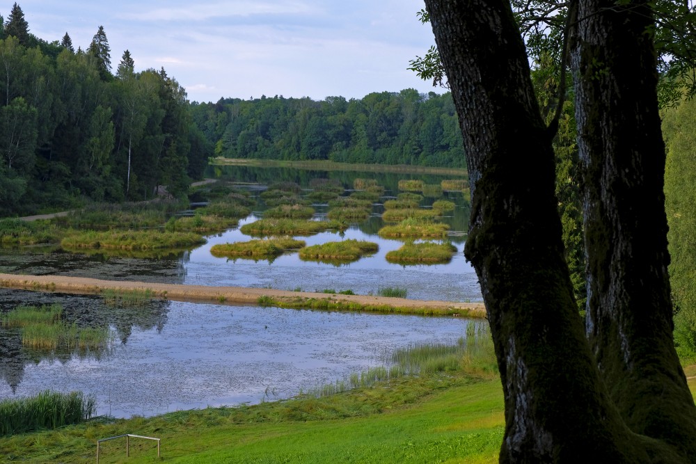 Alley Pond (Alejas dīķis) with Islets