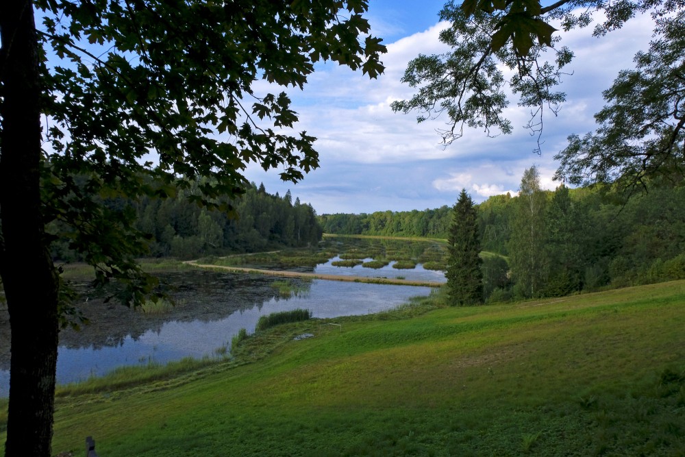 View of Alley Pond from Volzbahs Hill