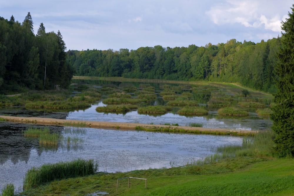 View of Alley Pond from Volzbahs Hill
