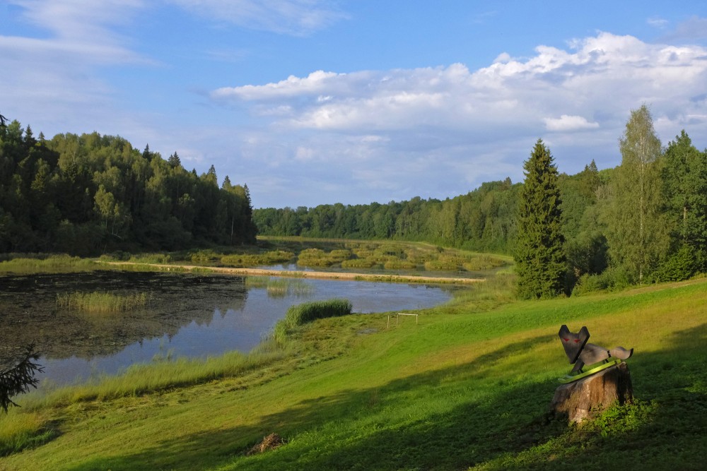 View of Alley Pond from Volzbahs Hill
