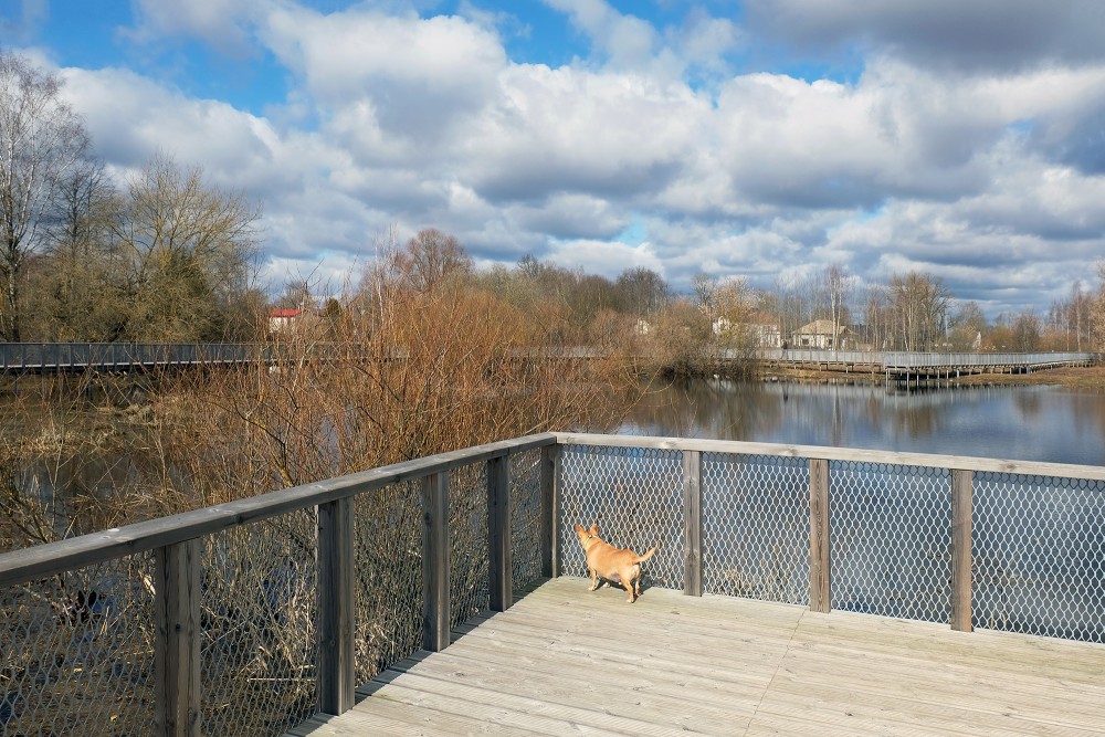 Svete Floodplain Meadow Boardwalk by Miezīte Pond
