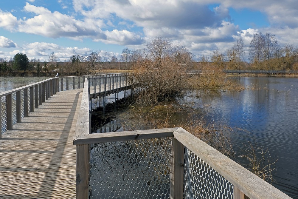 Miezite Pond Footbridge during Floods