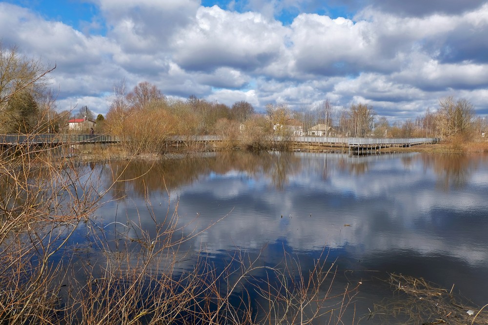Miezite Pond Walking Boardwalk in Spring