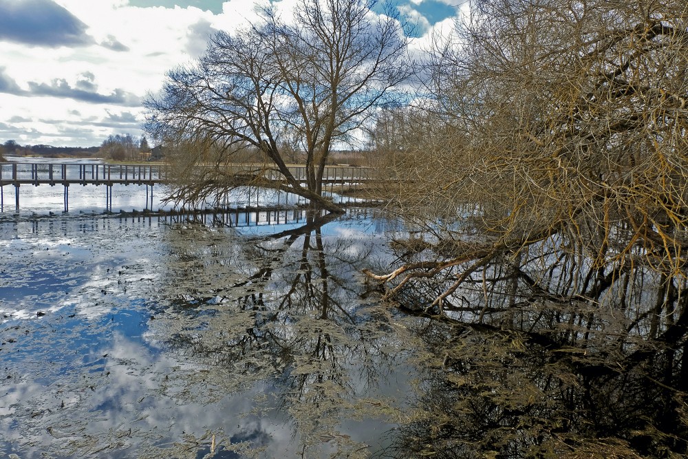 Pavasara pali pie Miezītes dīķa