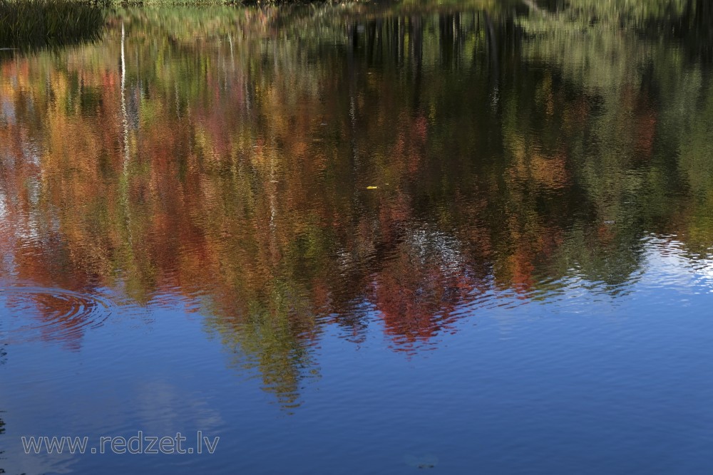 Autumn Reflection