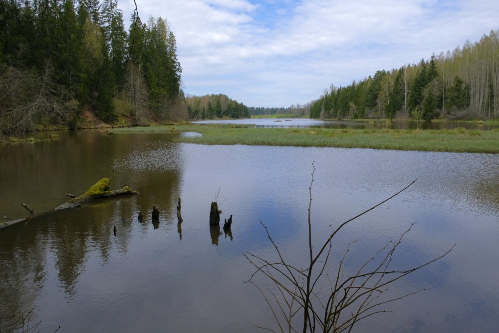 Šķēde Water Mill Lake in Spring