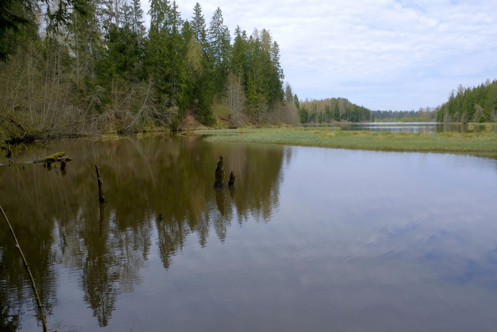 Šķēde Water Mill Lake in Spring