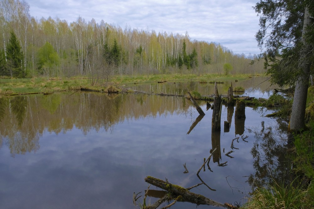 Šķēde Water Mill Lake in Spring