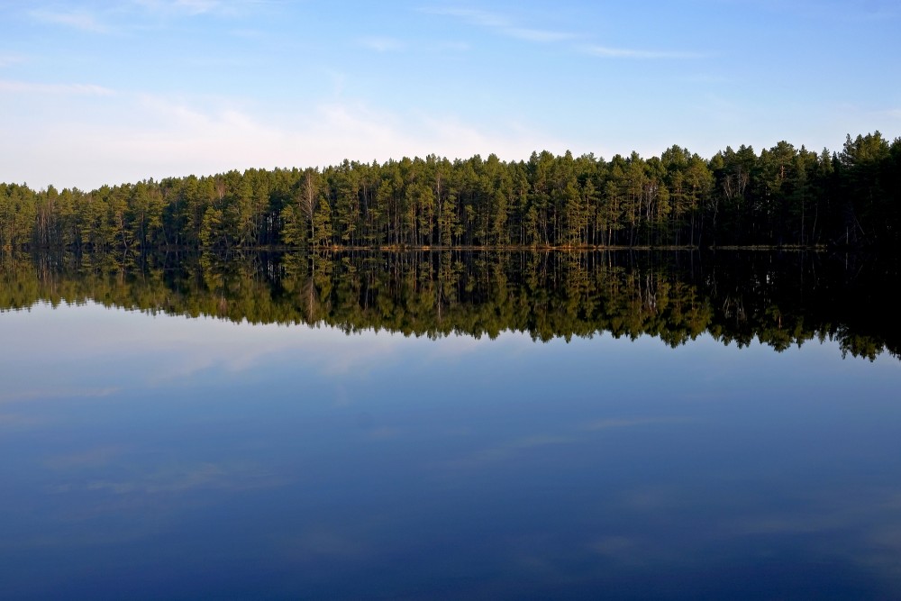 Bog Lake Melnezers, Jūrmala, Latvia