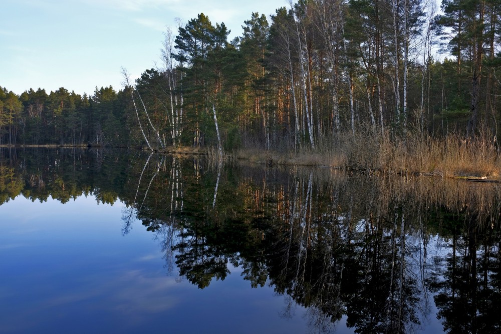 Bog Lake Melnezers, Jūrmala, Latvia