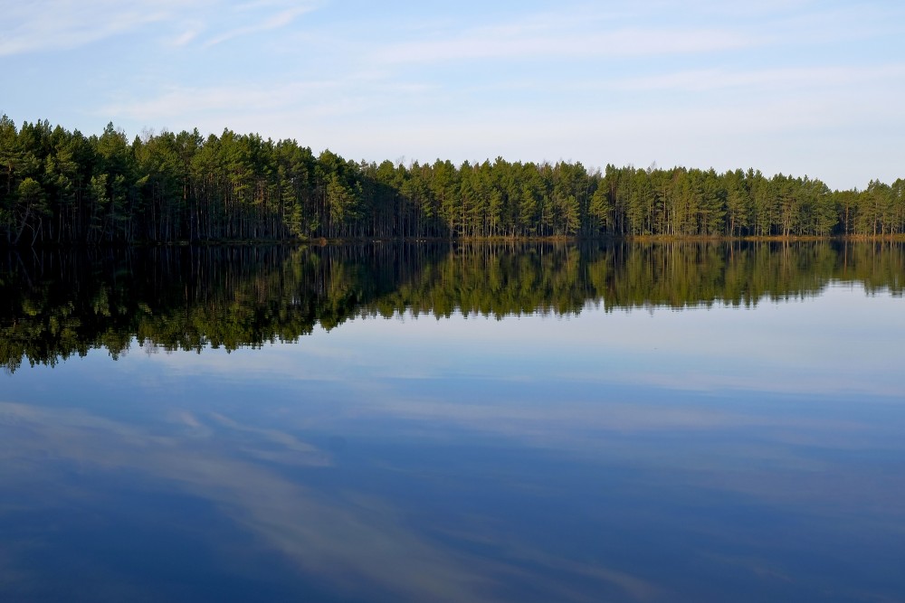 Bog Lake Melnezers, Jūrmala, Latvia