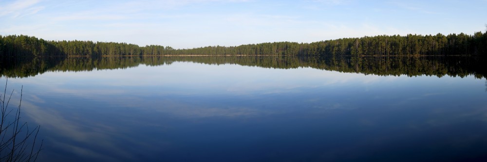 Bog Lake Melnezers (Jūrmala) Panorama