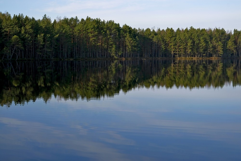 Bog Lake Melnezers, Jūrmala, Latvia