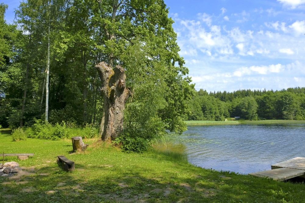 Dziļezera peldvieta