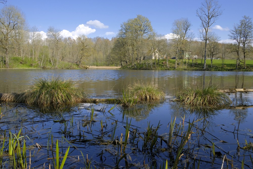 Embūte Castle Pond