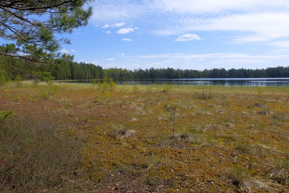 Southwest Bank of Lake Akacis
