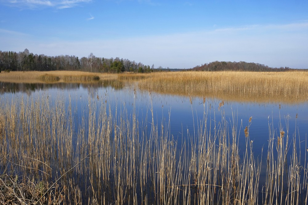 Spring Landscape Of Lake Kaņieris