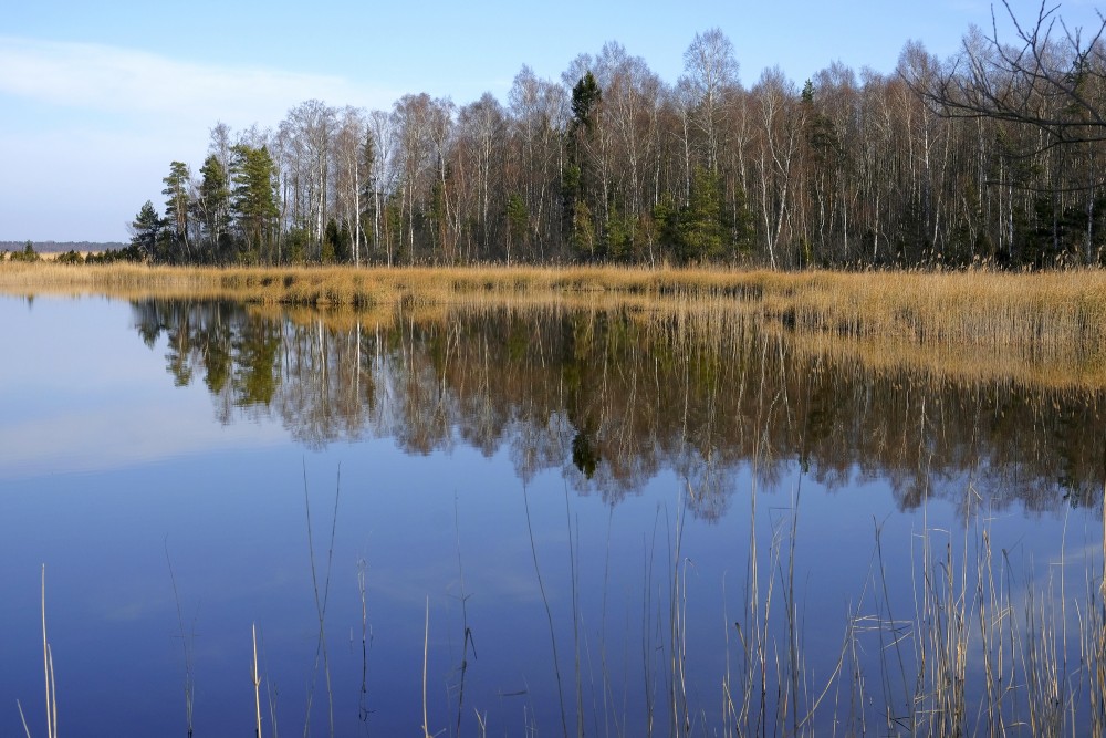 Spring Landscape Of Lake Kaņieris