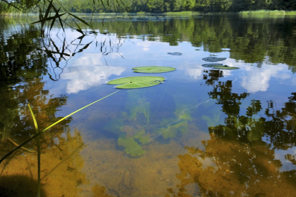 Dziļezers Dziļezers