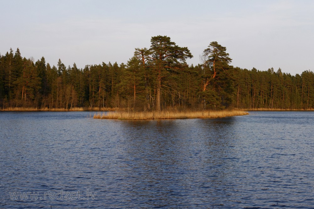 Lake Dižiere Island