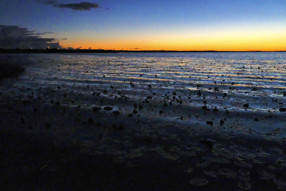 Burtnieka ezers naktī