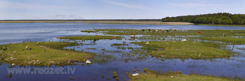 Lake Engure landscape