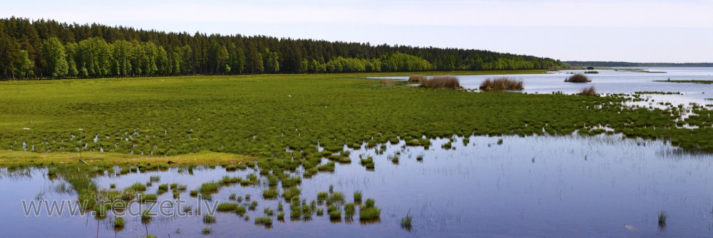 Lake Engure landscape