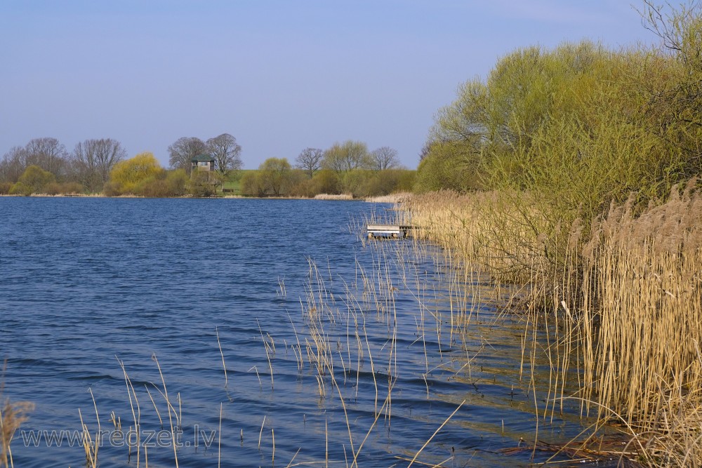 Tērvete Reservoir (Swans Pond) and Bird Watching Tower