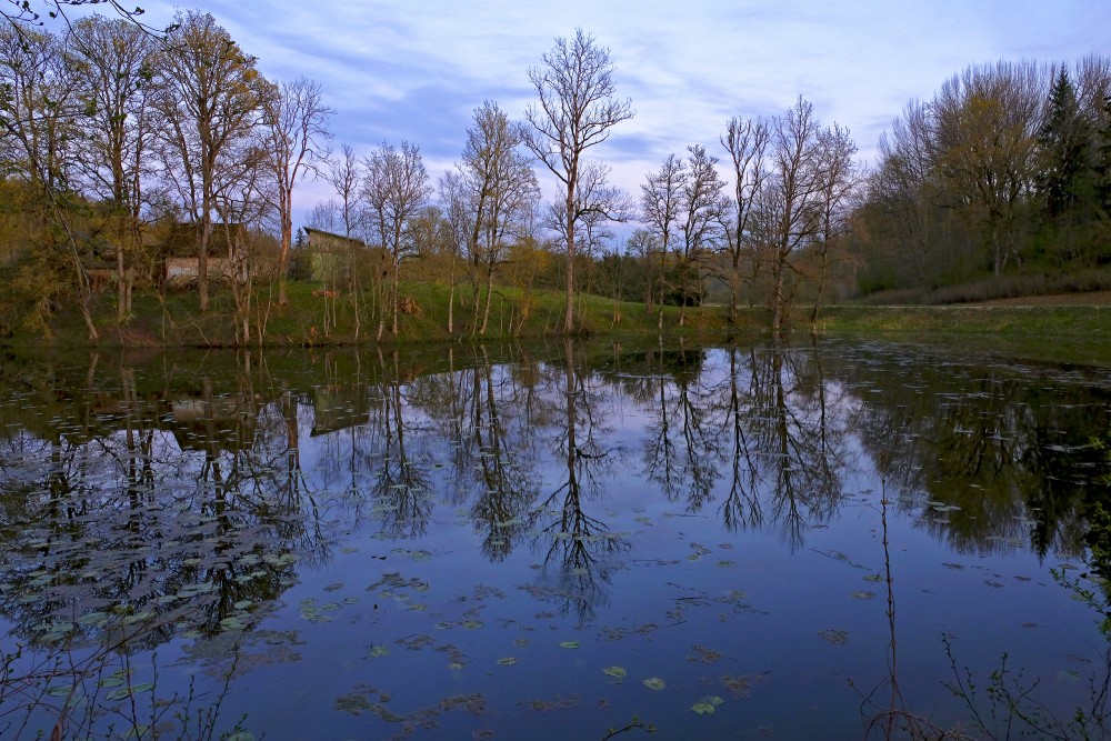 Embūte Castle Pond In Night