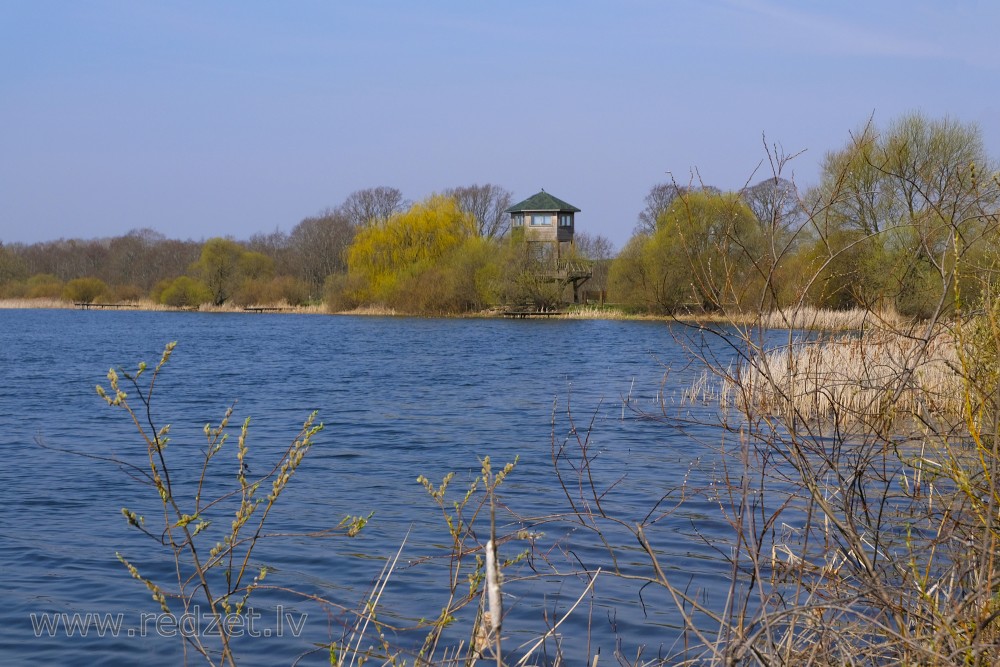 Tērvete Reservoir (Swans Pond) and Bird Watching Tower