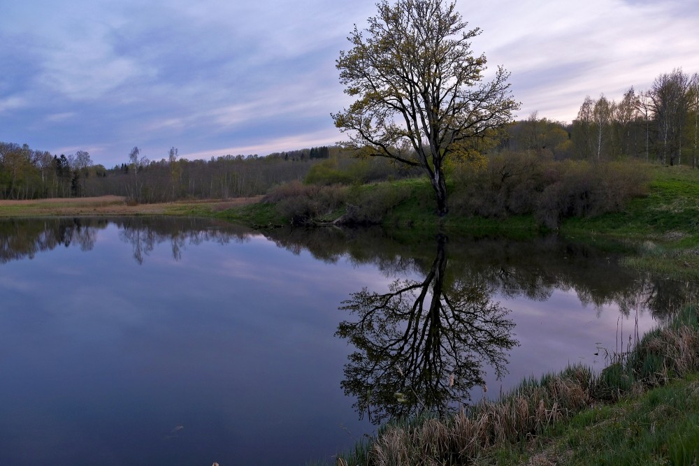 Embūte Castle Pond In Night