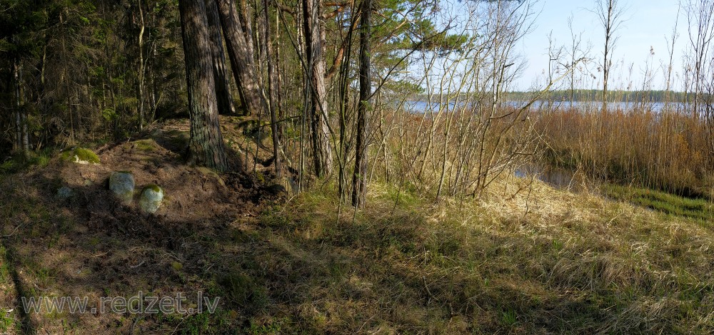 Mežs Klāņezera krastā