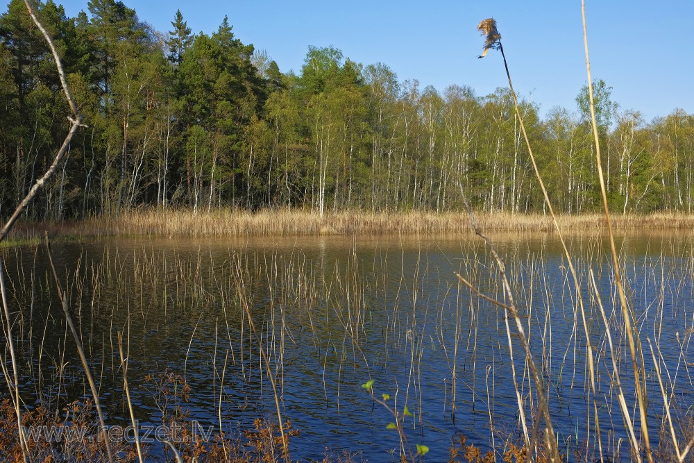 Lake Klāņezers Spring Landscape