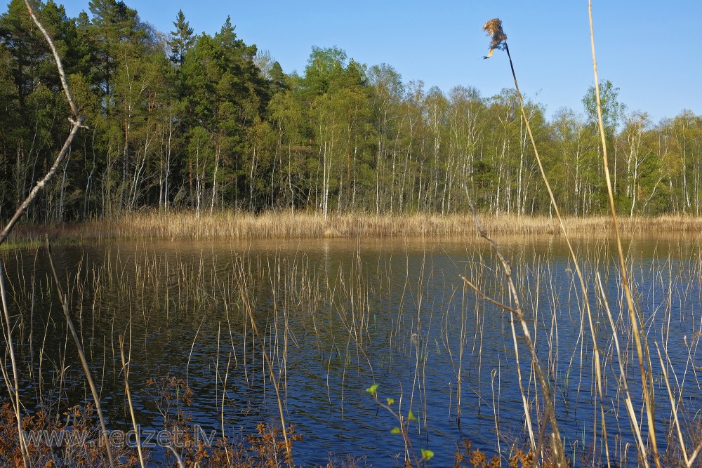 Klāņezera pavasara ainava