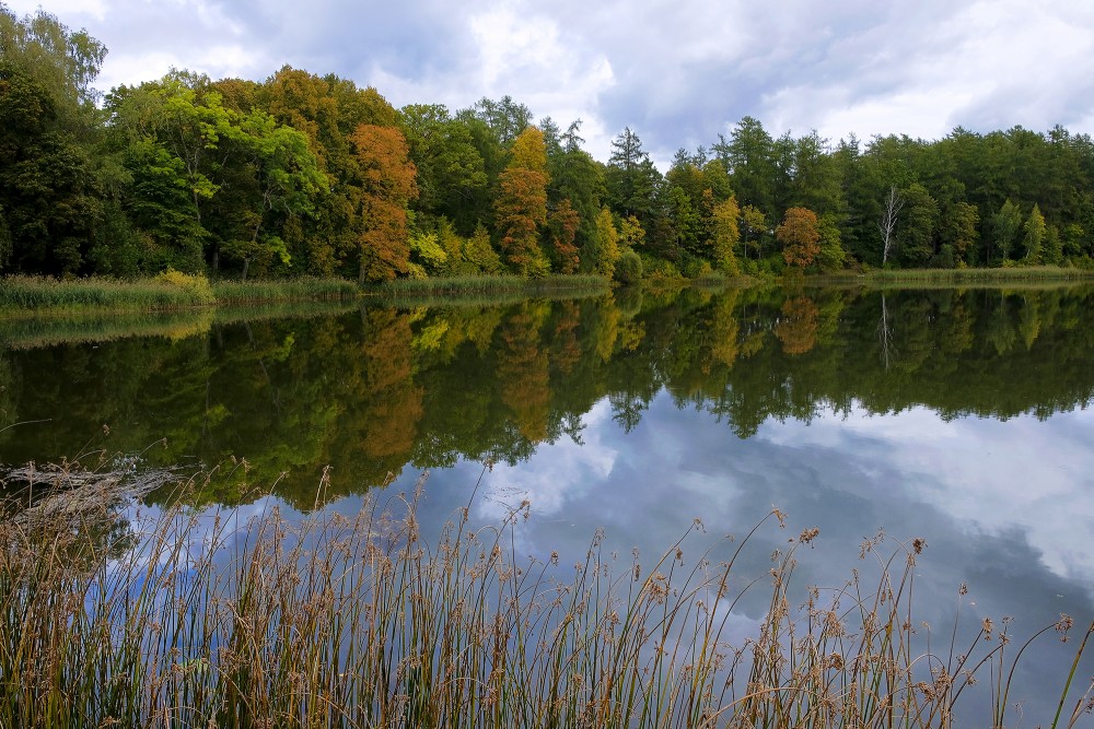 Kazdanga Dzirnezers Lake Autumn Landscape