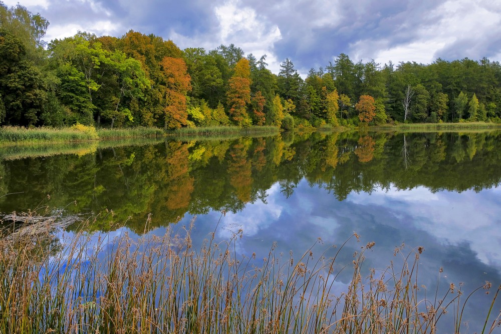 Kazdangas Dzirnezera rudens ainava Kazdangas Dzirnezera rudens ainava