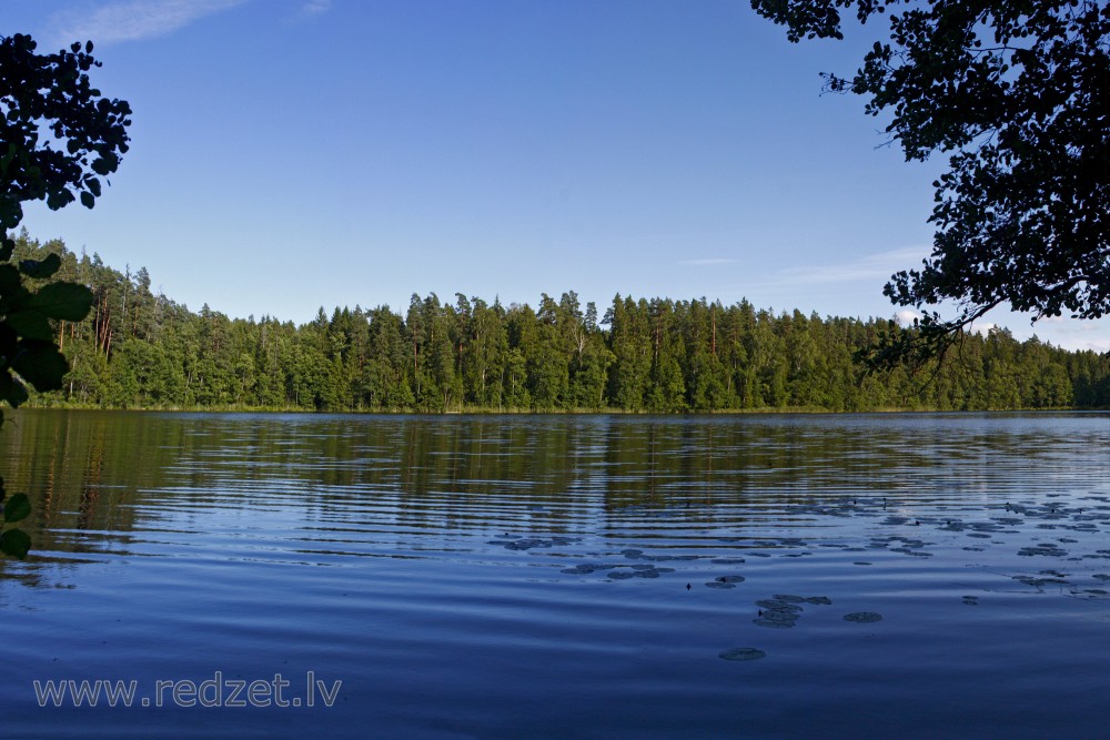The Landscape of Mežmuiža Lake