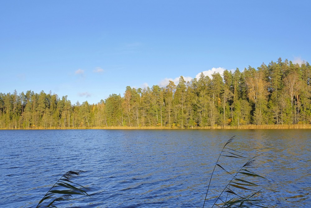 Mežmuižas ezers Mežmuižas ezers