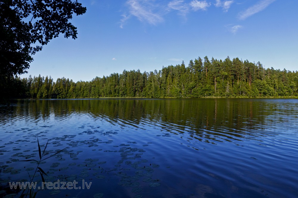 The Landscape of Mežmuiža Lake