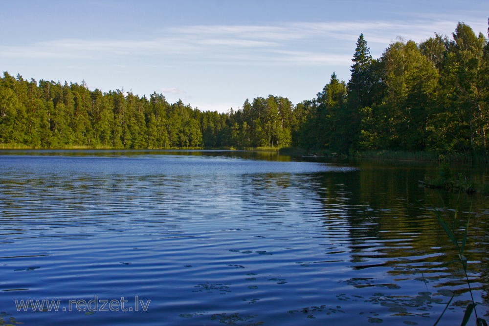The Landscape of Mežmuiža Lake