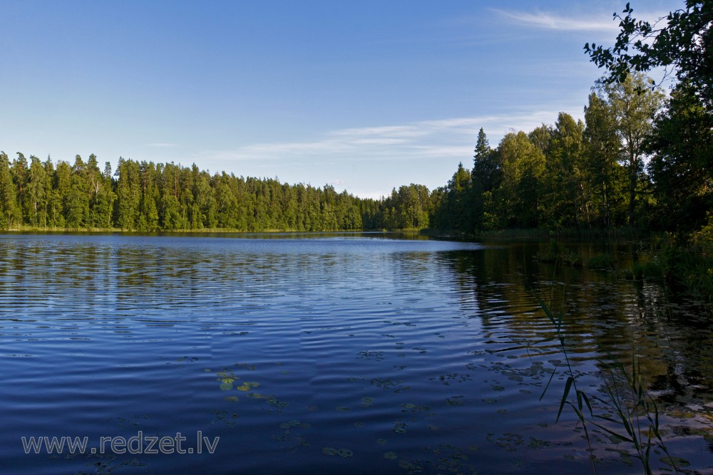 Mežmuiža Lake
