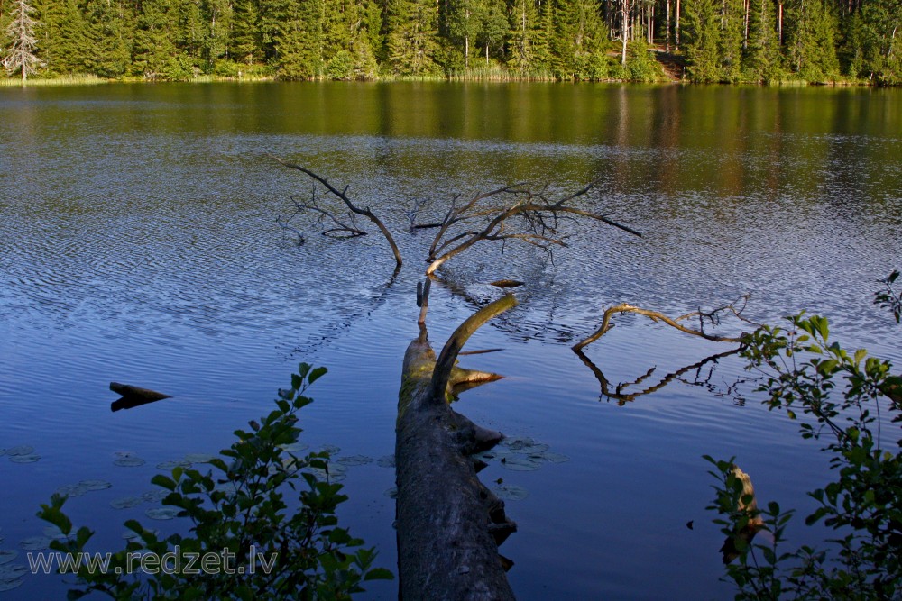 Lake Zilonis Landscape