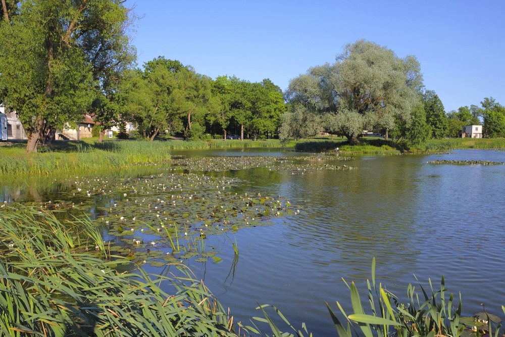 Moderes dīķis Kabiles centrā