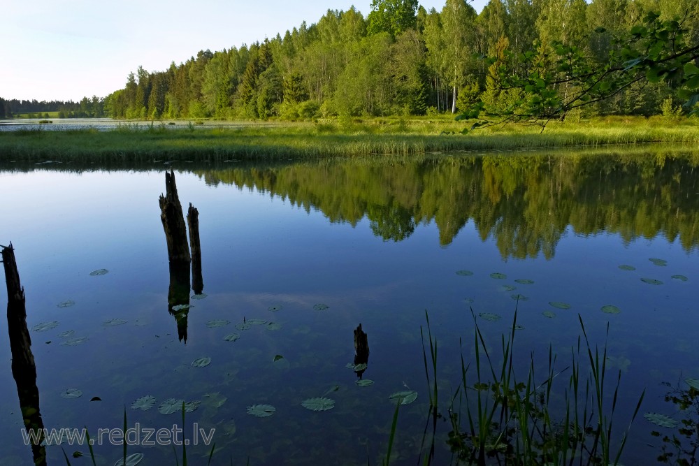 Šķēdes dzirnavezers pie Omiķu grava Šķēdes dzirnavezers pie Omiķu grava