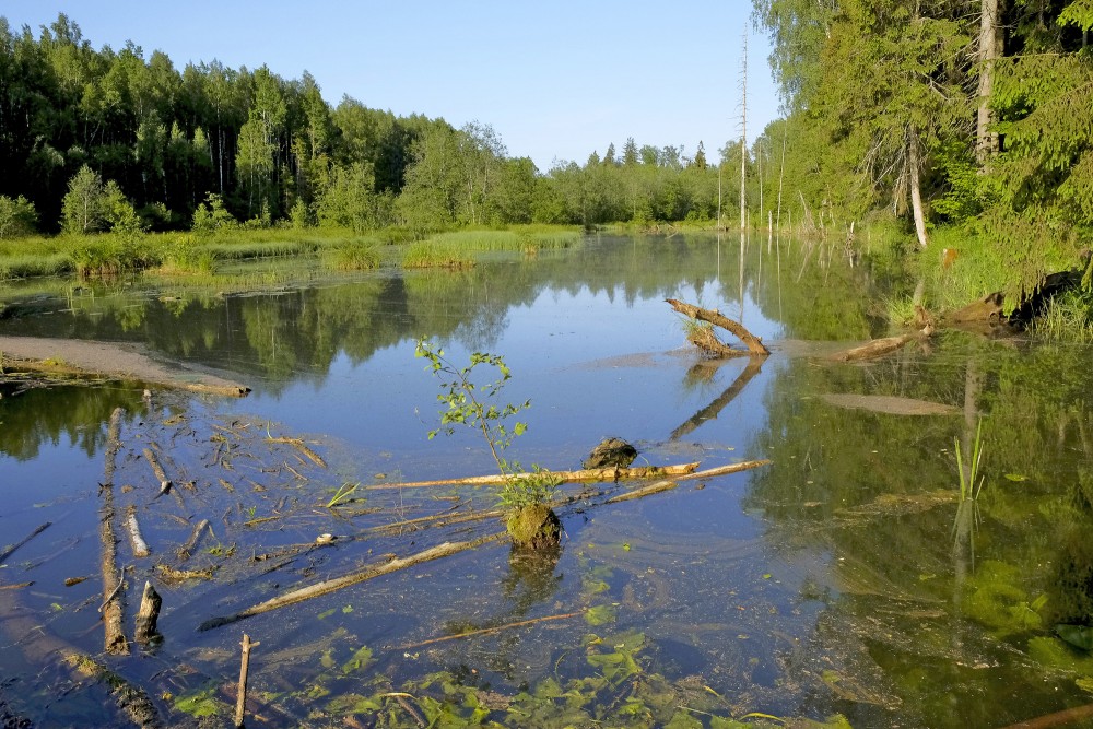 Šķēdes dzirnavezers (Vārmes pagasts)