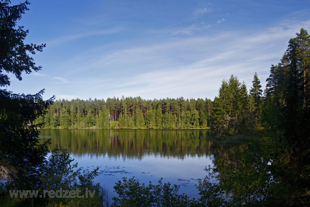 Lake Zilonis Landscape