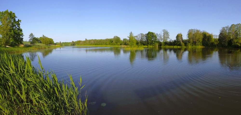 Šķēdes dzirnavezera panorāma Šķēdes dzirnavezera panorāma